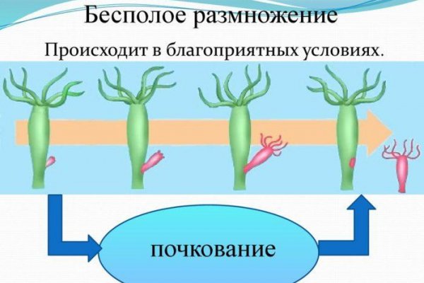 Кракен площадка vk2 top