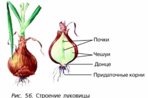 Ссылки на сайты в даркнете